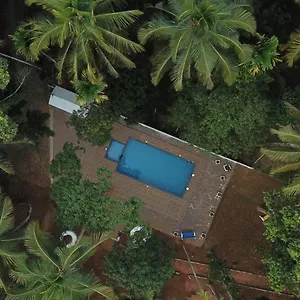 Bed & Breakfast Paddyfield, Mananthavady