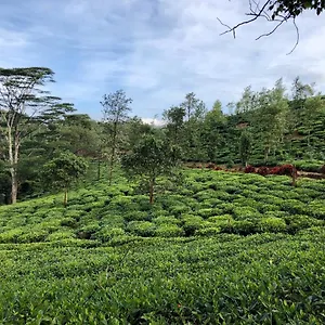 Resort Parisons Plantation Experiences By Abad, Mananthavady